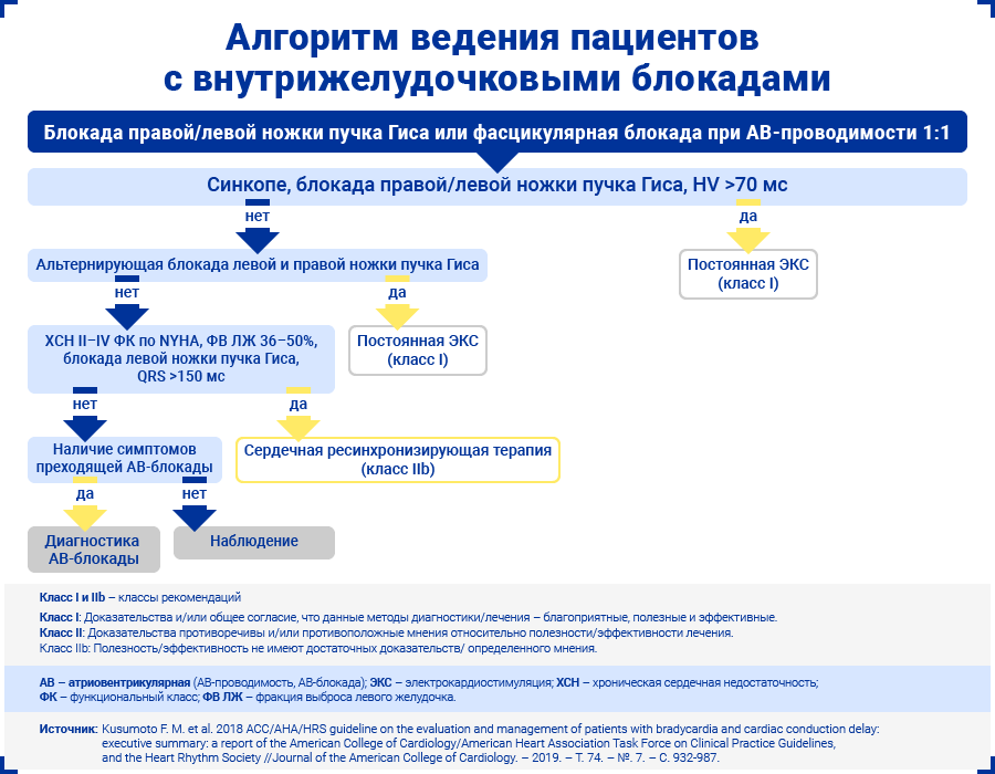 Алгоритм ведения пациентов с внутрижелудочковыми блокадами